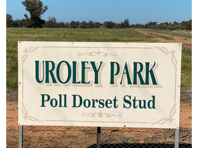 99 Mollys Lagoon Road, Narrandera NSW 2700