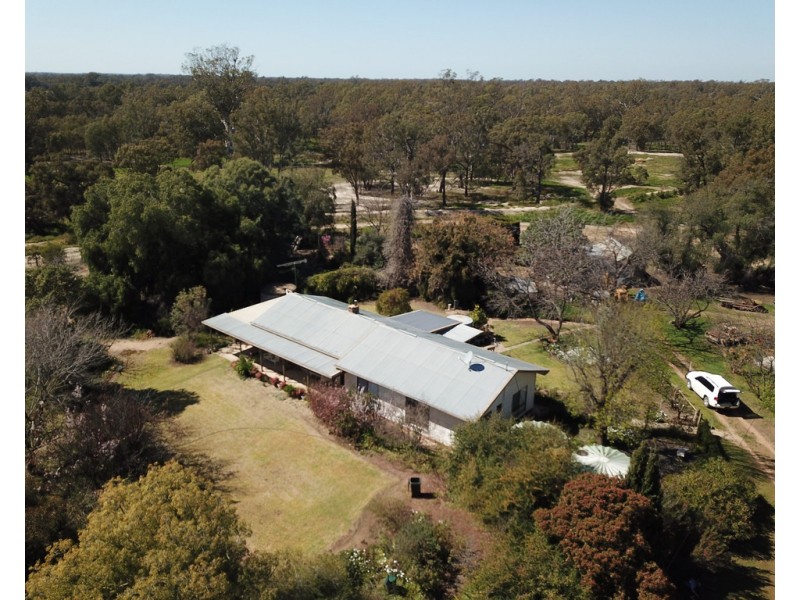 99 Mollys Lagoon Road, Narrandera NSW 2700