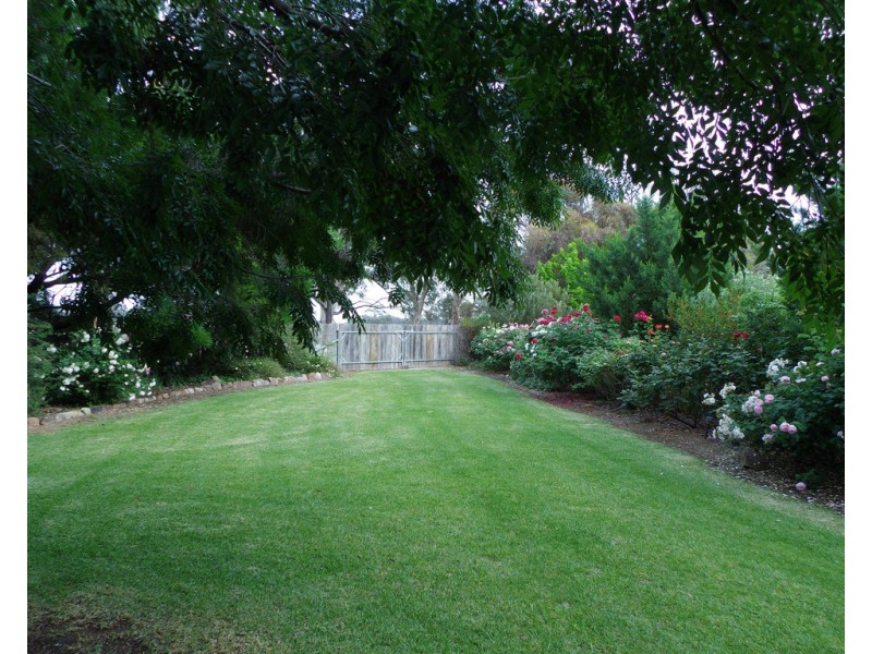 99 Mollys Lagoon Road, Narrandera NSW 2700