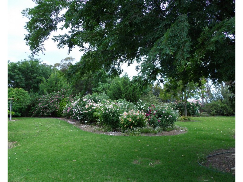 99 Mollys Lagoon Road, Narrandera NSW 2700