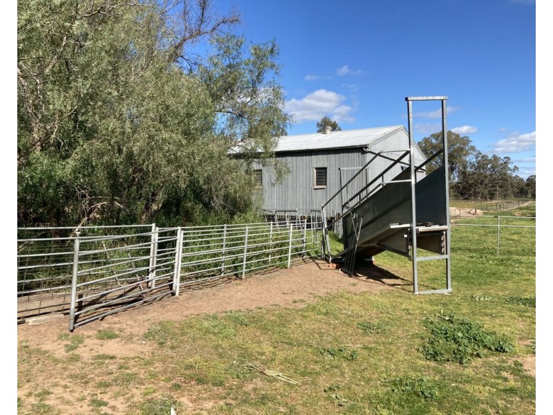 99 Mollys Lagoon Road, Narrandera NSW 2700