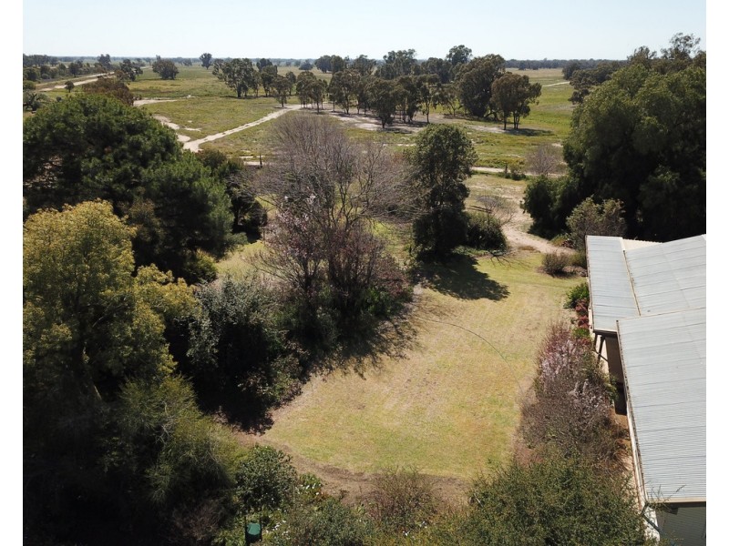 99 Mollys Lagoon Road, Narrandera NSW 2700
