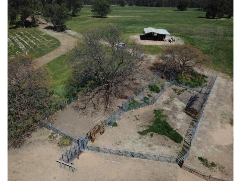 99 Mollys Lagoon Road, Narrandera NSW 2700