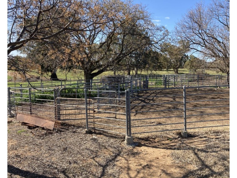 99 Mollys Lagoon Road, Narrandera NSW 2700