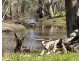 99 Mollys Lagoon Road, Narrandera NSW 2700