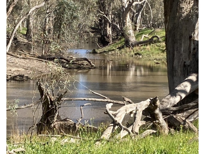 99 Mollys Lagoon Road, Narrandera NSW 2700