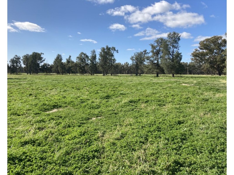99 Mollys Lagoon Road, Narrandera NSW 2700