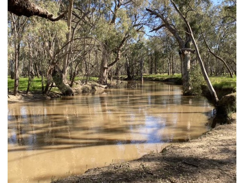 99 Mollys Lagoon Road, Narrandera NSW 2700