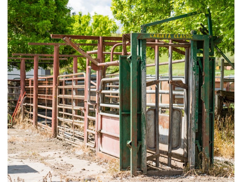 808 Cudgewa Valley Road, Cudgewa VIC 3705