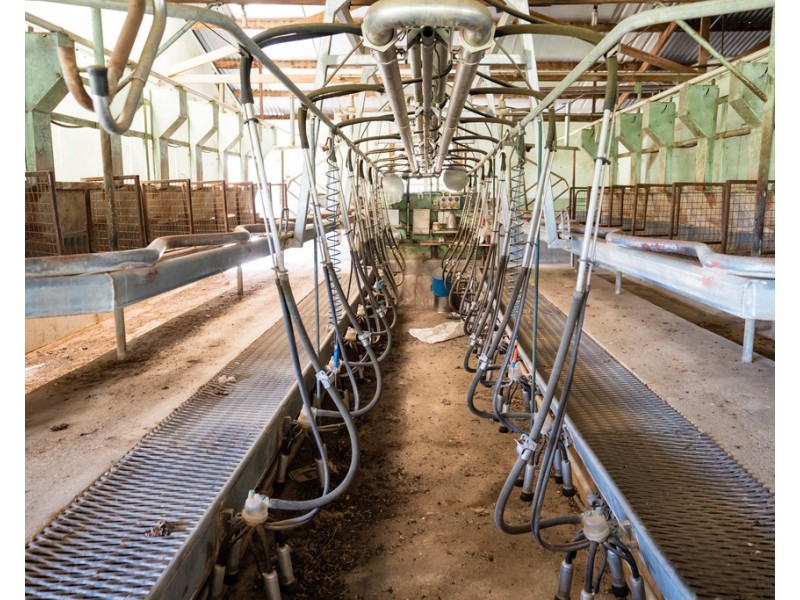 808 Cudgewa Valley Road, Cudgewa VIC 3705