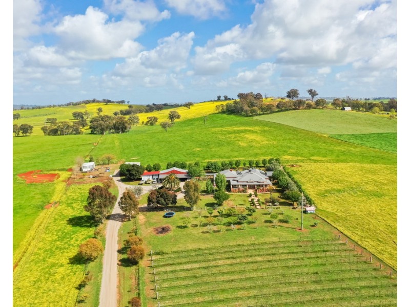 545 Glenellen Road, Glenellen NSW 2642