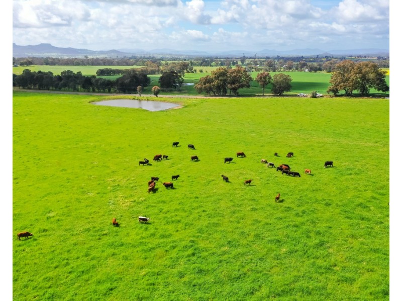 545 Glenellen Road, Glenellen NSW 2642