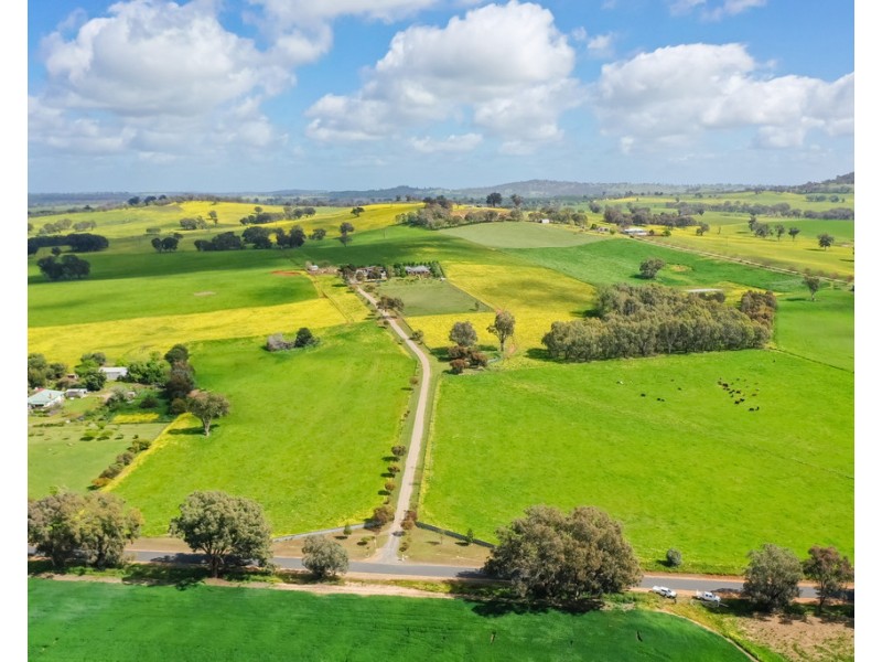 545 Glenellen Road, Glenellen NSW 2642