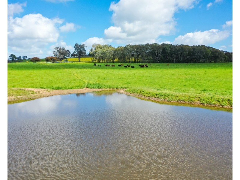 545 Glenellen Road, Glenellen NSW 2642