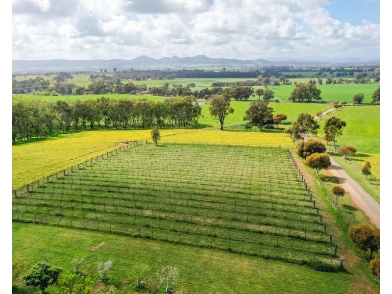 545 Glenellen Road, Glenellen NSW 2642