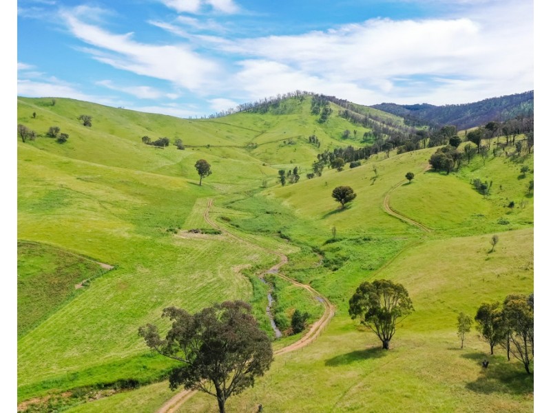 400 Horse Creek Road, Jingellic NSW 2642