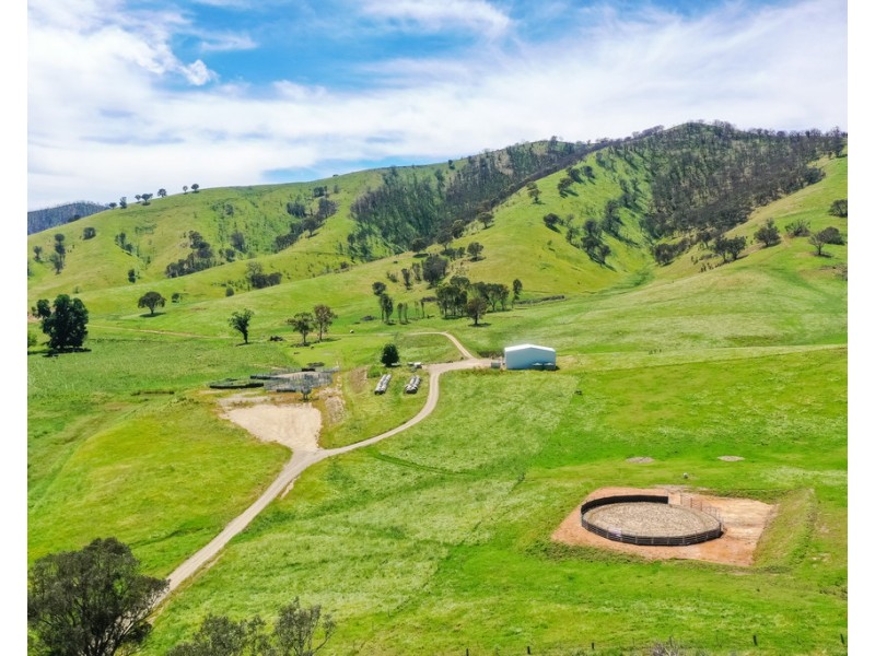 400 Horse Creek Road, Jingellic NSW 2642