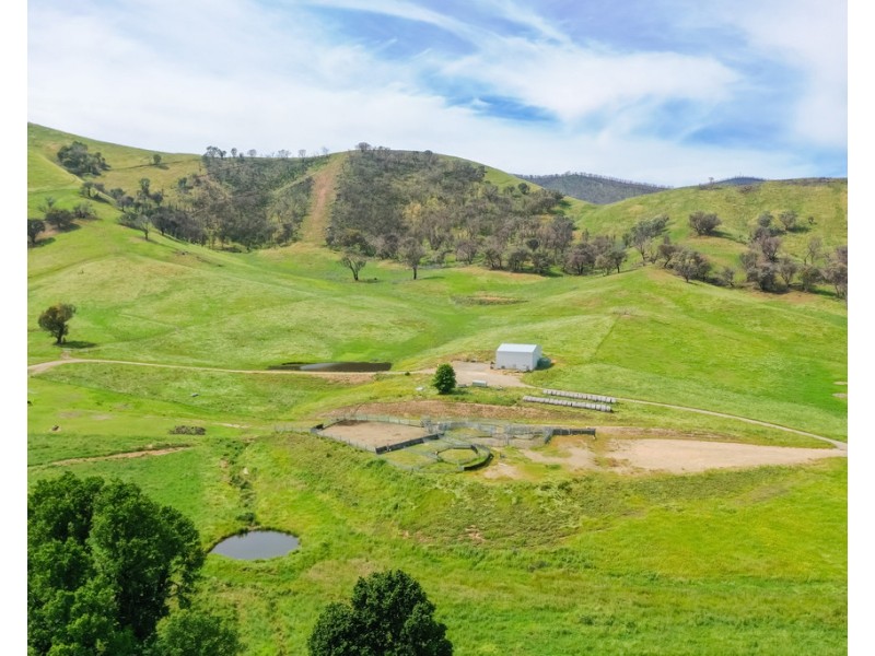 400 Horse Creek Road, Jingellic NSW 2642