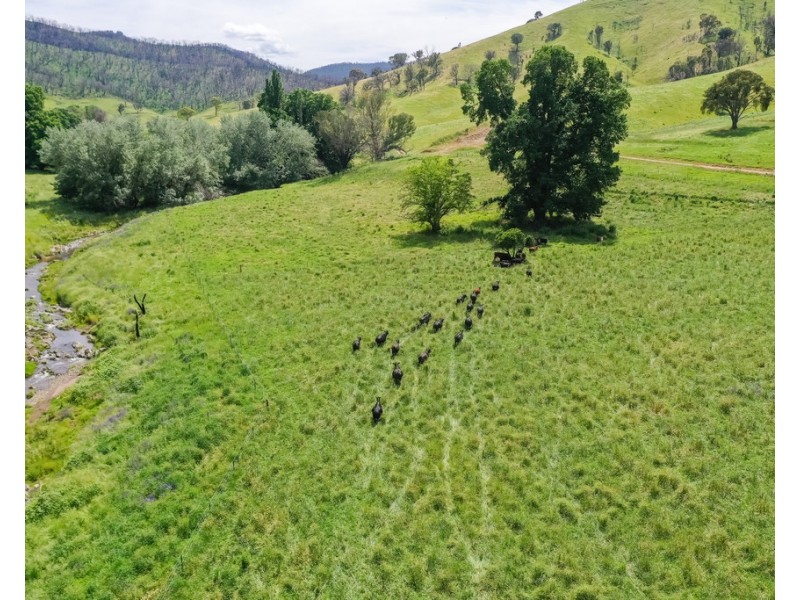 400 Horse Creek Road, Jingellic NSW 2642