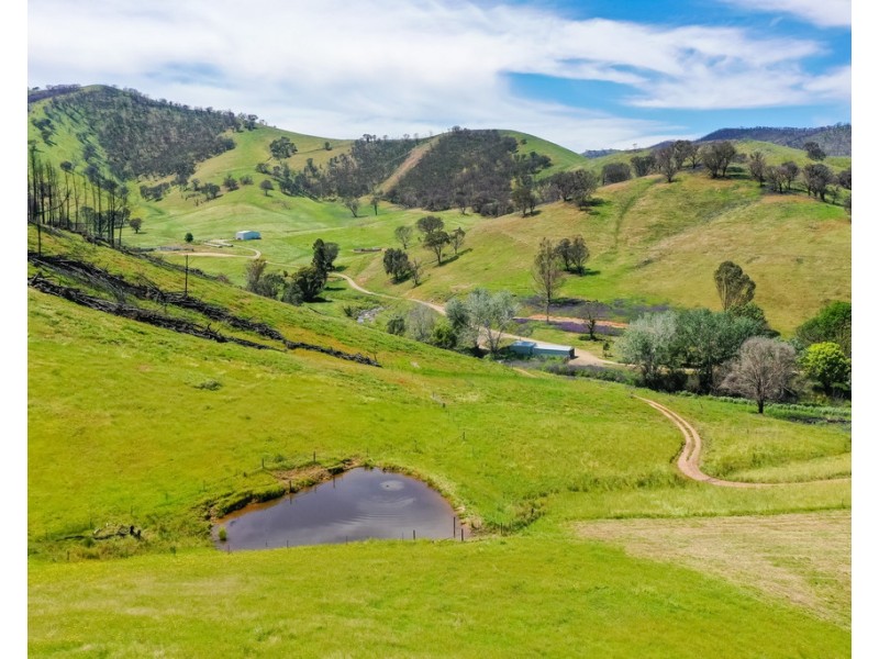 400 Horse Creek Road, Jingellic NSW 2642