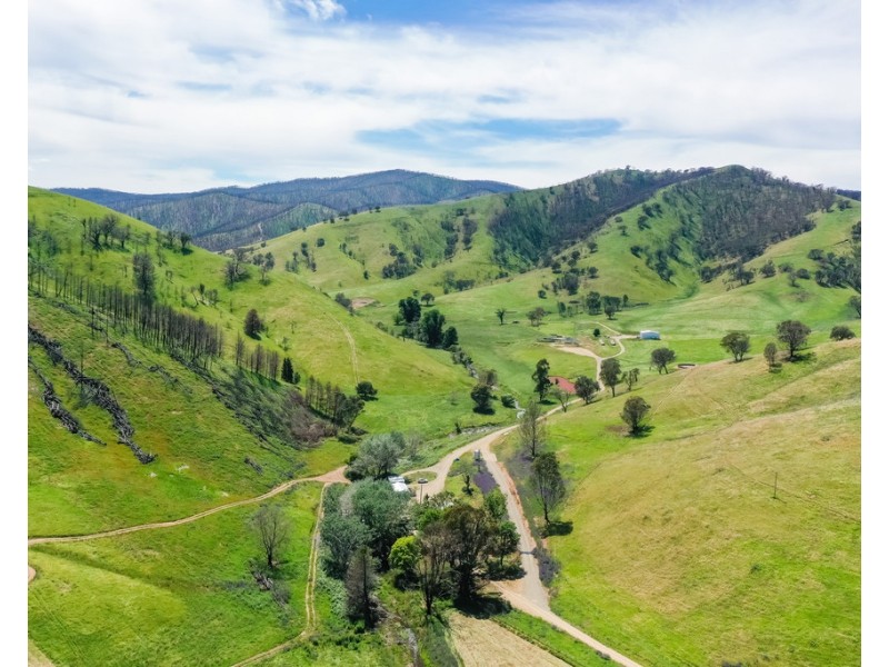400 Horse Creek Road, Jingellic NSW 2642