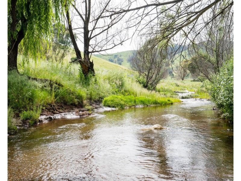 400 Horse Creek Road, Jingellic NSW 2642