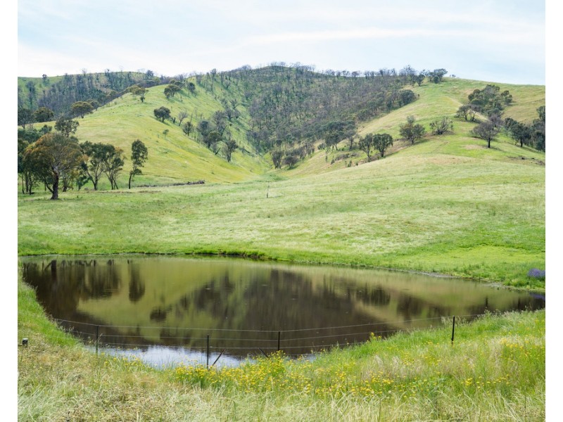 400 Horse Creek Road, Jingellic NSW 2642