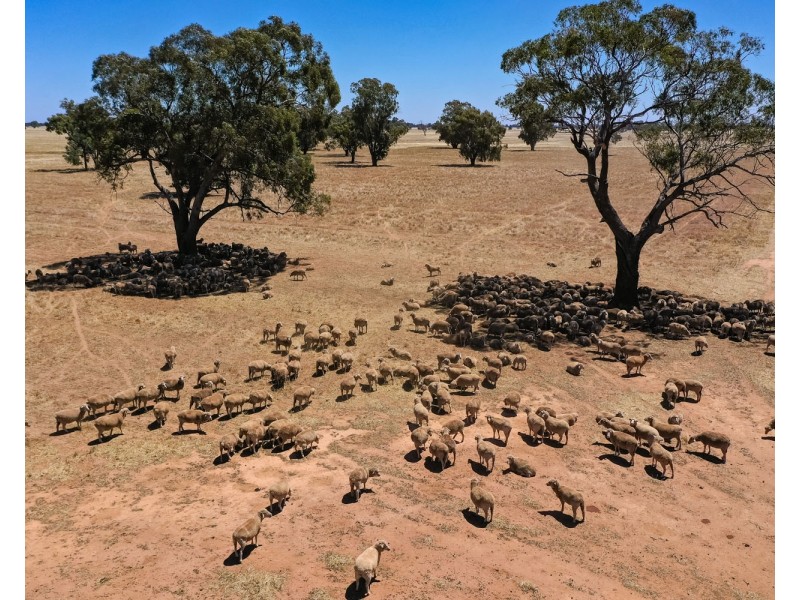 2370 TOCUMWAL ROAD, Tocumwal NSW 2714