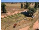 2370 TOCUMWAL ROAD, Tocumwal NSW 2714