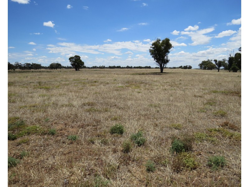 375 WOODBURY ROAD, Blighty NSW 2713