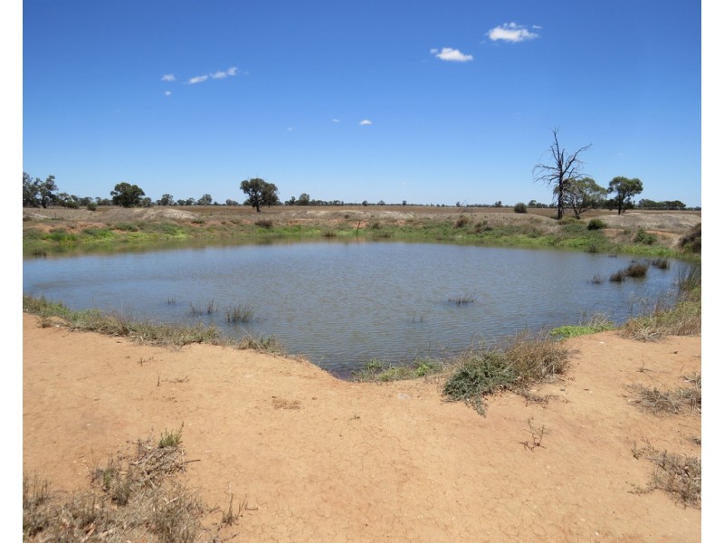 375 WOODBURY ROAD, Blighty NSW 2713