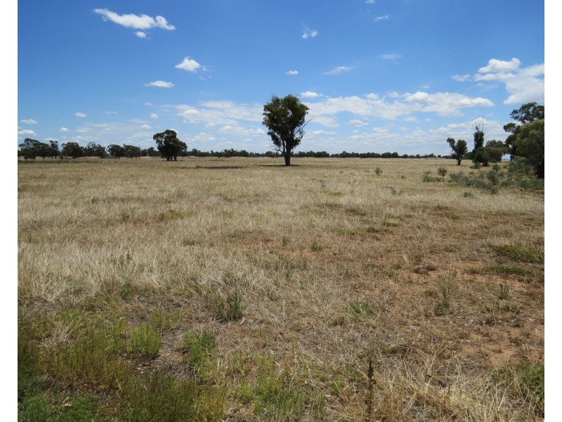 375 WOODBURY ROAD, Blighty NSW 2713