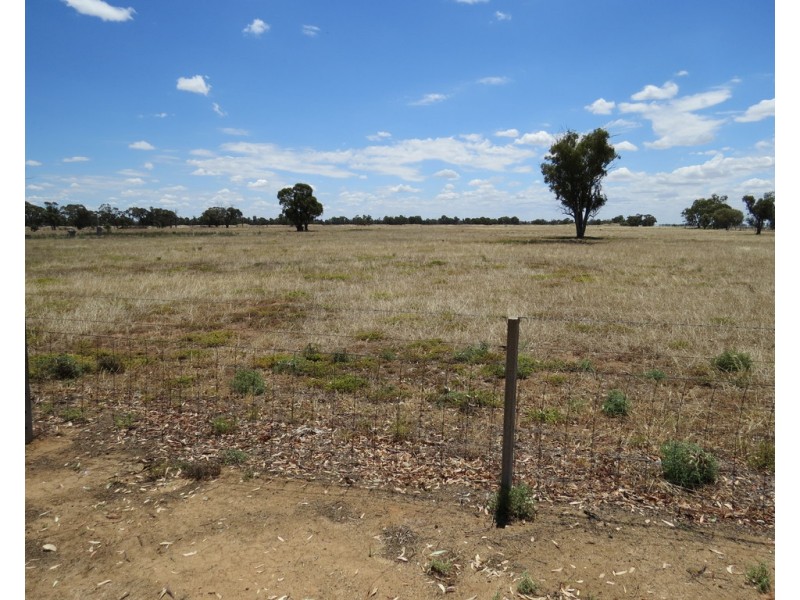 375 WOODBURY ROAD, Blighty NSW 2713