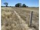 1825 Rangemore Road, Deniliquin NSW 2710
