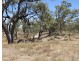 1825 Rangemore Road, Deniliquin NSW 2710