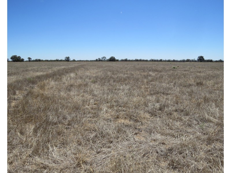 1825 Rangemore Road, Deniliquin NSW 2710