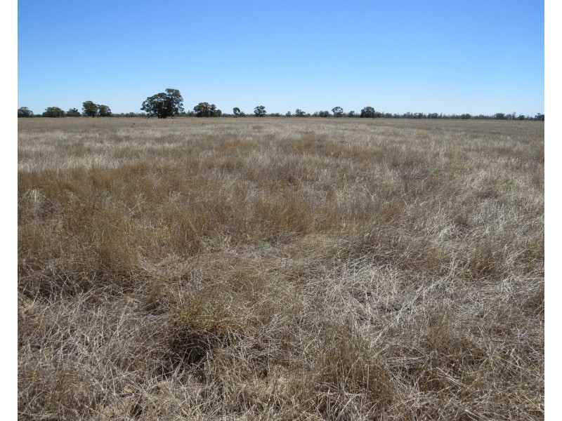 1825 Rangemore Road, Wakool NSW 2710