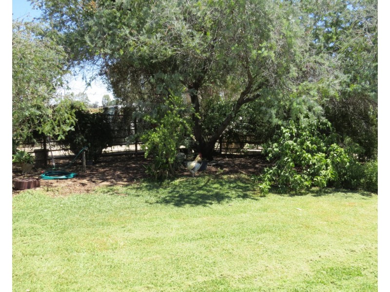 1825 Rangemore Road, Wakool NSW 2710