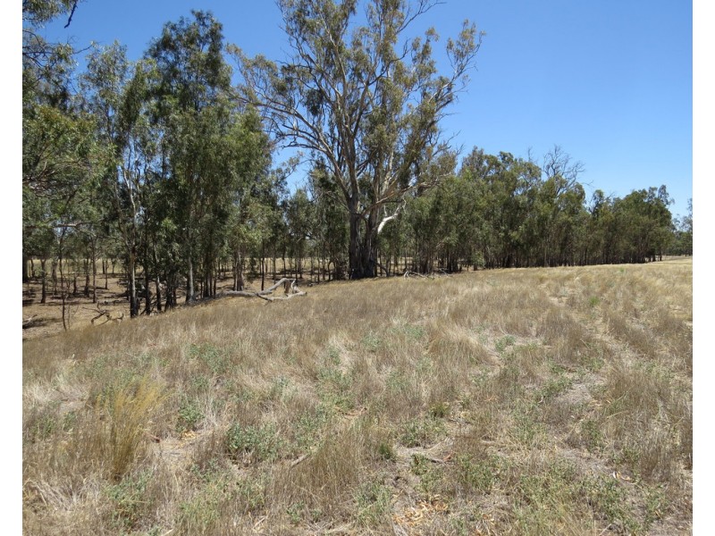 1825 Rangemore Road, Wakool NSW 2710