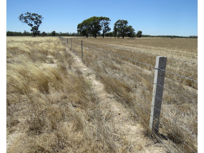 1825 Rangemore Road, Wakool NSW 2710