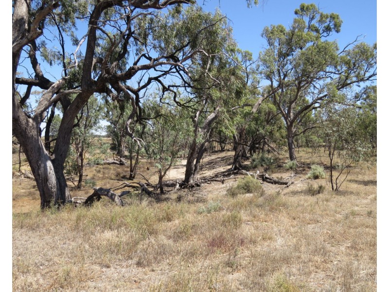 1825 Rangemore Road, Wakool NSW 2710