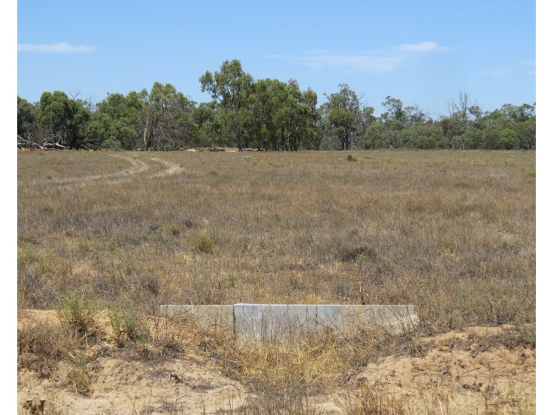 1825 Rangemore Road, Wakool NSW 2710