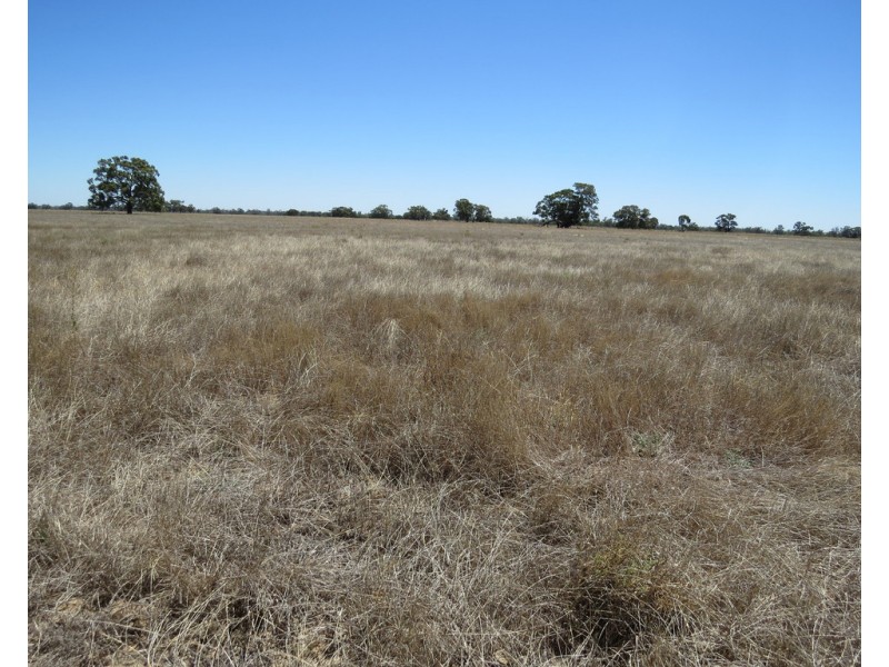 1825 Rangemore Road, Wakool NSW 2710