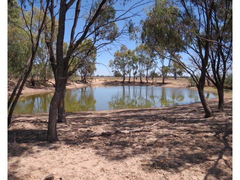 1825 Rangemore Road, Wakool NSW 2710