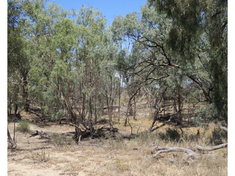 1825 Rangemore Road, Wakool NSW 2710