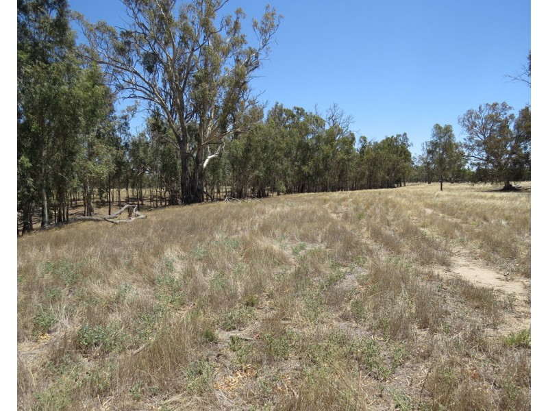 1825 Rangemore Road, Wakool NSW 2710