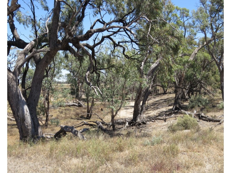 1825 Rangemore Road, Wakool NSW 2710