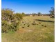 Mayfield 3859 Riverina Highway, Bungowannah NSW 2640