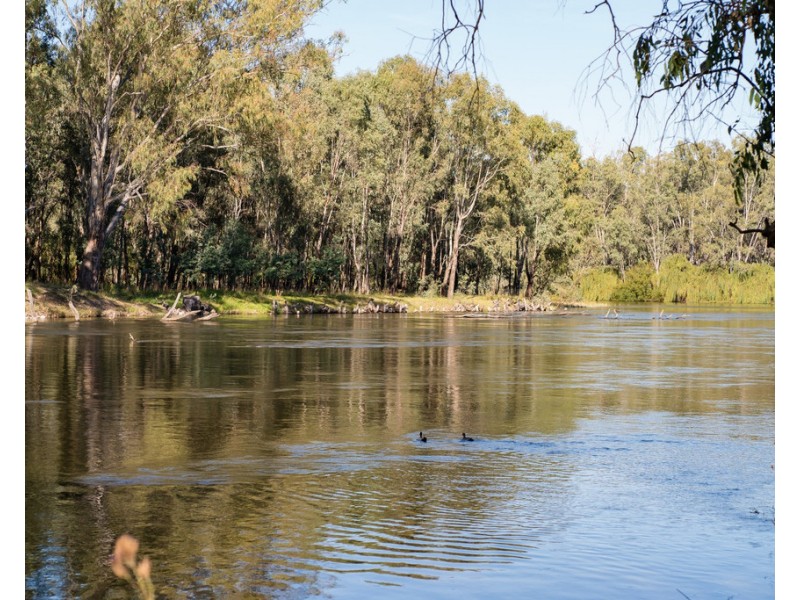 Mayfield 3859 Riverina Highway, Bungowannah NSW 2640
