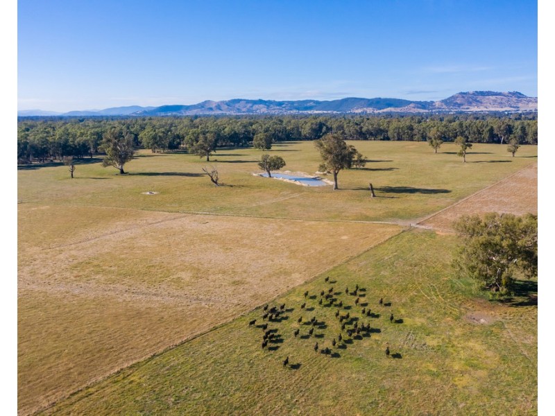 Mayfield 3859 Riverina Highway, Bungowannah NSW 2640